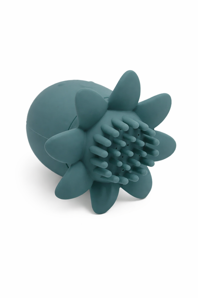 Octopus — detail